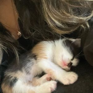 Meet your Posher, Aubrina